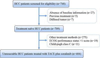 Identify optimal HAP series scores for unresectable HCC patients undergoing TACE plus sorafenib: A Chinese multicenter observational study